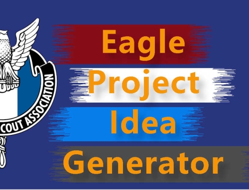 Eagle Project Ideas